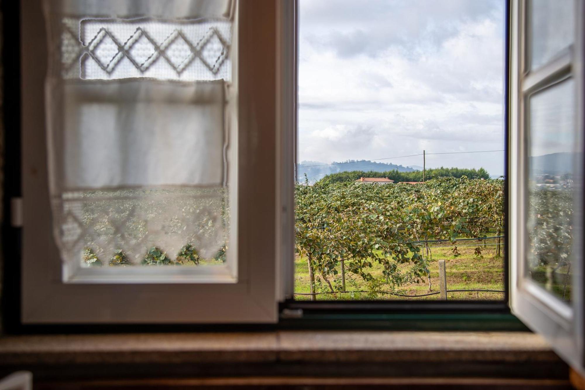 Quinta Do Carvalhal Alojamento, Penafiel Irivo Extérieur photo